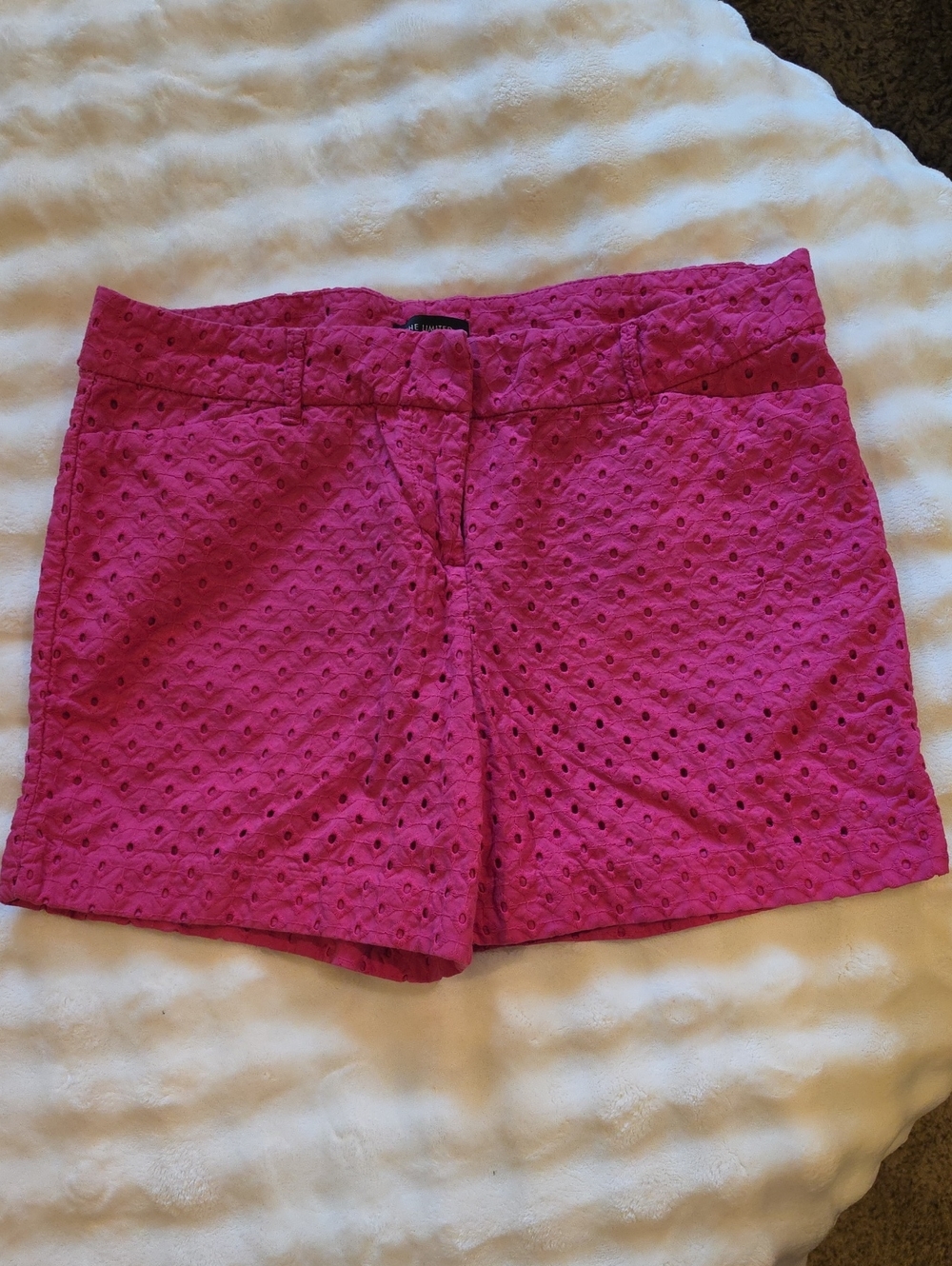The Limited Fuchsia Eyelet High Waist Shorts